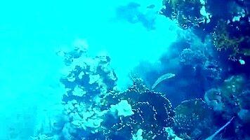 public couples on a yacht