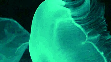 Rekonfiguration 11 - Nothing But Everything