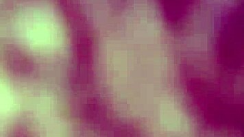 fucking my girlfriend's pussy at home