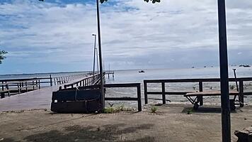 couple enjoys wild car ride with blowjob and cunilingus 😈