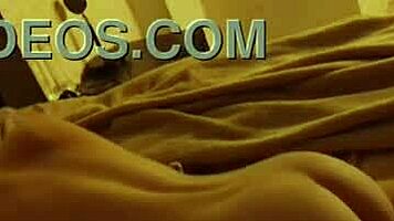 A brunette milf shares rough doggystyle POV moments with a partner.