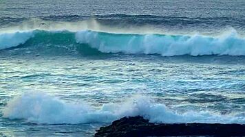 The young secretary with elastic buns seduced her boss and they fucked passionately in the office.