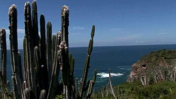 hdvwm071 1-100 video series