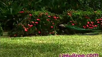 Little Bree Gets Naked With Natural Tits