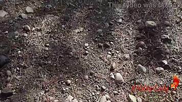 i give a messy deepthroat to a stranger in the woods until a massive facial hits me