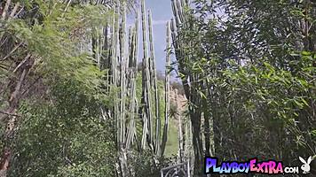 Petite blondie braylin bailey sunbathing naked by pool