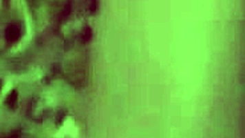 Fuck me missionary, then ride and cum, horny girl begs.