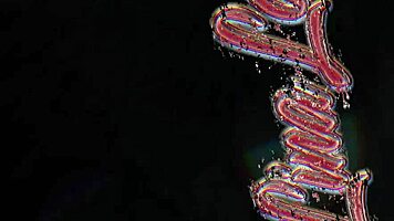 Nervous teen shows shaved pussy naked online