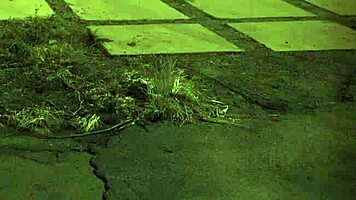 Hardcore Domination With Hairy Armpit Sucking And Bound Pussy In Bdsm Bondage