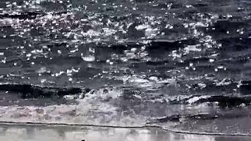 Blowjob on the beach