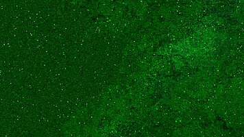 Golden Shower for a Girl in PISSED JEANS with Wild Amateur Action