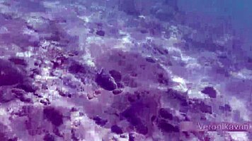 Public Exhibitionist German Teen 18+ VeronikaVonk Shows Big Boobs by Sea!