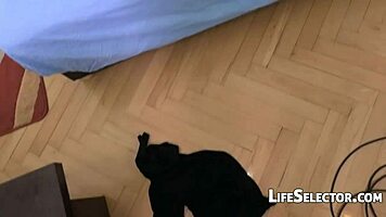 angel piaf stars in a wild pov scene, getting her tight pussy pounded hard with intense hardcore action