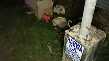 Ez az ázsiai lány otthon nélkül leborotválkozik, mélytorokozik és szépen megbaszódik az utcán 😊