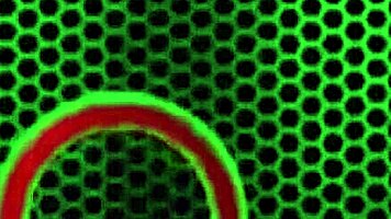 Jasmine Wolff Feet Fucked by Pool