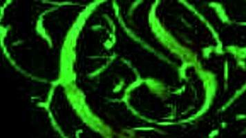 bound ep2 maid caught stealing?