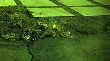 I can’t even, like, handle these mature chicks banging us teen 18+s with strapons!