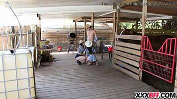 Chicas de granja comparten una polla dura en acción de rancho rural