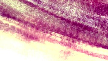 Office threesome features a sexy boss in lingerie getting bent over for doggystyle blowjob