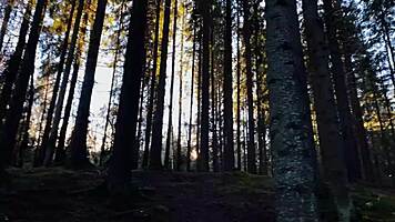 get lost in wonderlands with blue-eyed babe deepthroating in public 😘