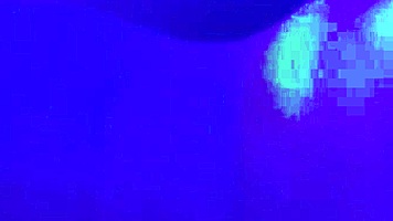 check out these naughty oral sessions with my big-dicked husband 😈