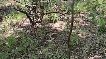 random jogger gets deepthroat on a hiking trail pov - candycourt