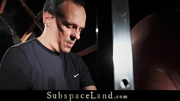 bondage newbie gets pussy slapped while hogtied 😈