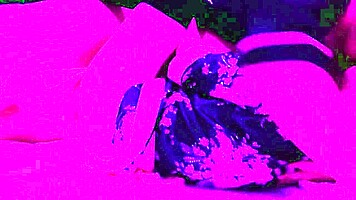 Amateur girlfriend in kimono cosplay gets kissed and licked on the bed.