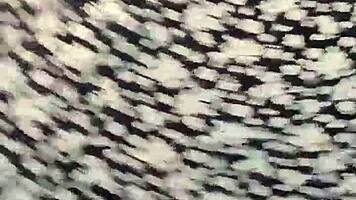 I Dance Reaggaeton Mix On Webcam As A Teen.