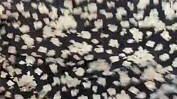 I Dance Reaggaeton Mix On Webcam As A Teen.