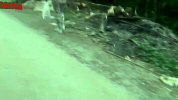 Transando Com Uma Gostosa Sem Camisinha Por Notas Safado Goza No Cuzinho Dela!