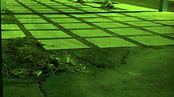 stranded teen roughly fucked outdoors with bondage