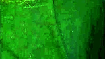 Real party girl takes multiple creampies in her juicy shaved hole