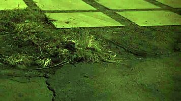 ROUGH GANGBANG compilation with bound teens in extreme bondage.