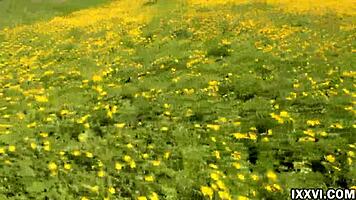 vira gold sucks ananta shakti's cock hard