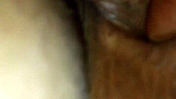 Ever wonder what sloppy head looks like with a ghetto ponytail babe?