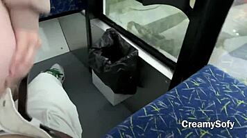 I Barely Had Time To Swallow Hot Cum In Risky Public Sex On Ferris Wheel - CreamySofy