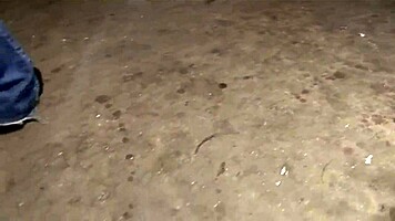 Warehouse Overseer Discovers Young Thief