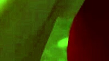 a succubus snuck up on me for hardcore 3d hentai sex