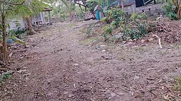 Skandal Filipinki z publicznym seksem pary azjatyckich studentów i gorącym creampie.