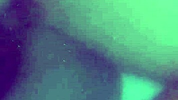 Brazilian wife dives into rough pool sex, worshiping big ass and monster cock.
