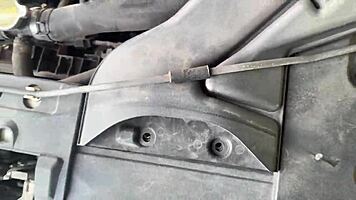 She Cheats on Her Boyfriend and Lets Me Fuck Her Holes Rough?