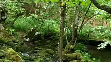 Risky public moment with 18yo teen in quickie