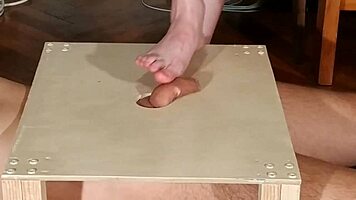 Watch domina stomp cock with bare feet! Footjob madness!
