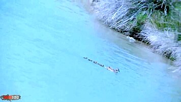 Krystal Wallas fucked by Kevin!