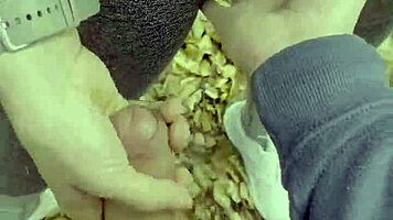 stop hikin, bend me over and cum inside in public park!