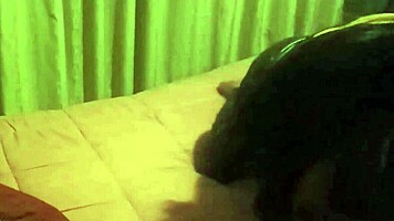 i can sit on your face my step sister is a pervert who only wants to fuck i fuck her because shes been tempting me with that ass for years - homemade sex