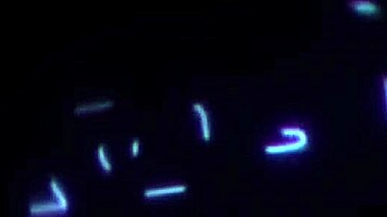 Petite Babe Freya Parker Enjoys Quinton James Long Thick Cock!