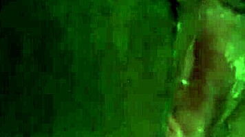 Hot Wet Latina Creamy Pussy Play!