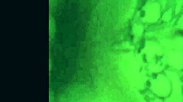 Hey, check this wild teen 18+ sucking big cock in sloppy creampie clips!